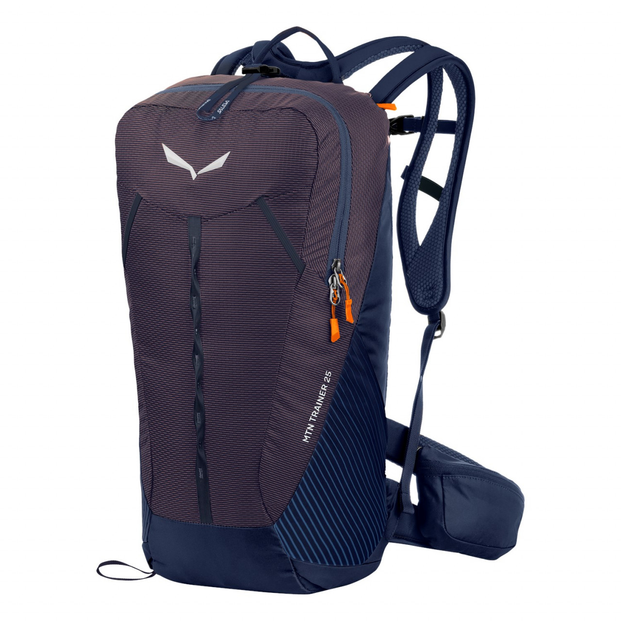 Salewa Mtn Trainer 25L Backpacks Blue/Navy JHE-351706